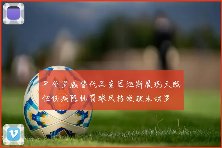 平价罗威替代品奎因坦斯展现天赋但伤病隐忧罚球风格致敬米切罗