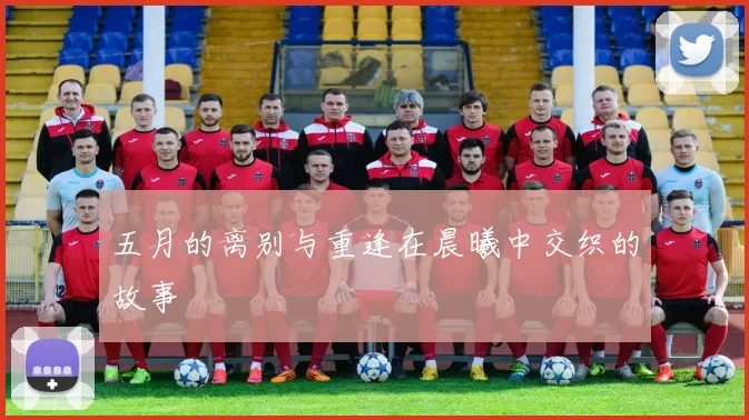 五月的离别与重逢在晨曦中交织的故事