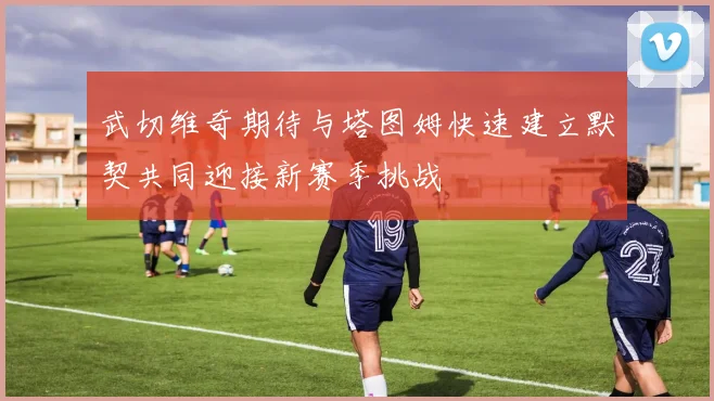 武切维奇期待与塔图姆快速建立默契共同迎接新赛季挑战